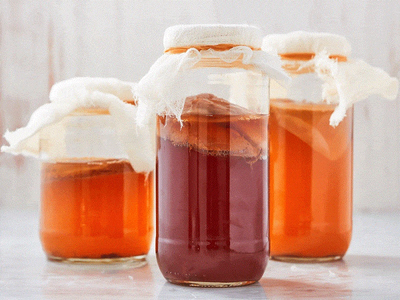 Kombucha là gì?